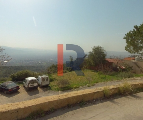 R9-3981 Agricultural Land for Sale in Harf Ardeh Awfar | 12,000 m² with 250 Olive Trees