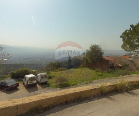 R9-3981 Agricultural Land for Sale in Harf Ardeh Awfar | 12,000 m² with 250 Olive Treesأرض زراعية للبيع في حرف أردة أوفار | 12,000 م² مع 250 شجرة زيتون