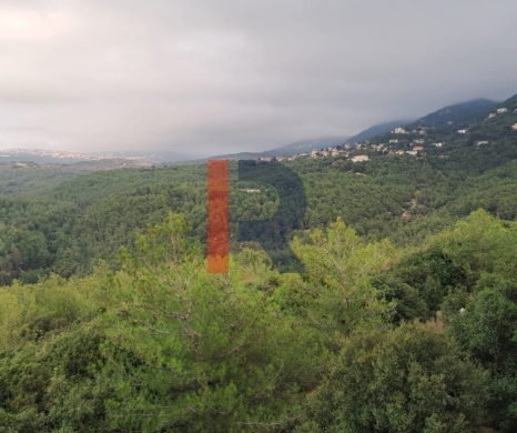 R9-3994 Land for Sale in Karm Saddeh Zgharta | 4,000 m² | 25/50 Zoning