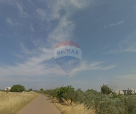 R9-4000 Agricultural Land for Sale in Bterram Koura | 735 m² with Olive Treesأرض زراعية للبيع في بترام الكورة | 735 م² مزروعة بأشجار الزيتون