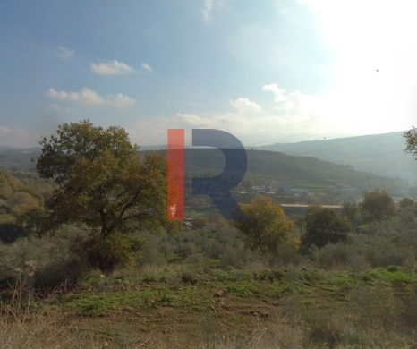 R9-4005 Land for Sale in Charbila Akkar | 16,700 m² | Ideal for Guest House & Tourism Project