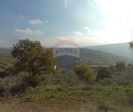 R9-4005 Land for Sale in Charbila Akkar | 16,700 m² | Ideal for Guest House & Tourism Projectأرض للبيع في شربيلا عكار | 16,700 م² | مناسبة لبيوت الضيافة والمشاريع السياحية