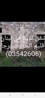 Special apartment for rent in Saadiyat