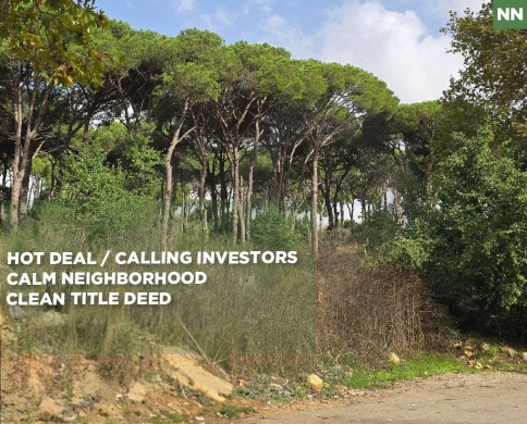 Prime 1471 SQM Land/Hot Deal / rectangular shaped/Kitteneh ,ALEY/كيتينه/REF#NN141780