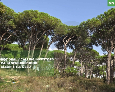 30/60 ZONING/ PANORAMIC MOUNTAIN VIEW LAND |KITTENEH,ALEY/كيتينه/ REF#NN141779 !