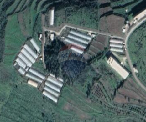 R9-2994 Land for Sale in Rumah Akkar – 62,142 m² with Road & Electricity