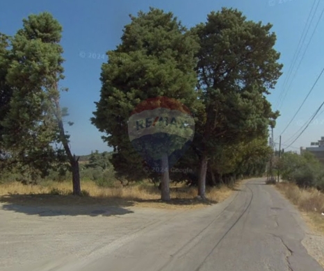 R9-3052 Land for Sale in Rachkida – Batroun District أرض للبيع في رشكيدة قضاء البترون (3,600 m², Zoning 25/50)