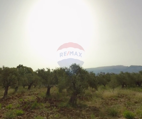 R9-3116 Land for Sale in Bsarma Highway – Koura أرض للبيع في بصرما الأوتوستراد الكورة