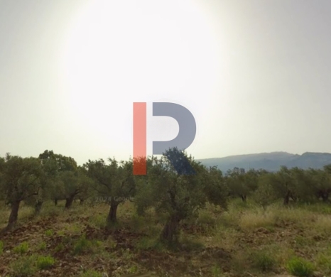 R9-3116 Land for Sale in Bsarma Highway – Koura