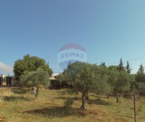 R9-3205 Land for Sale in Batroumine – Koura أرض للبيع في بترومين الكورة (1,539 m², Residential Zoning 20/40)