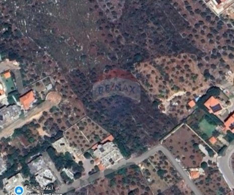 R9-3221 Land for Sale in Qalhat – Koura أرض للبيع في قلحات الكورة (385 m², Planted with Trees)