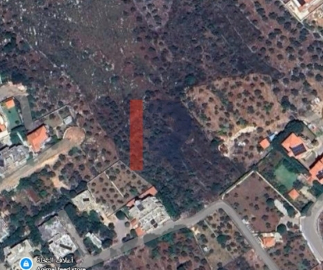 R9-3221 Land for Sale in Qalhat – Koura (385 m², Planted with Trees)
