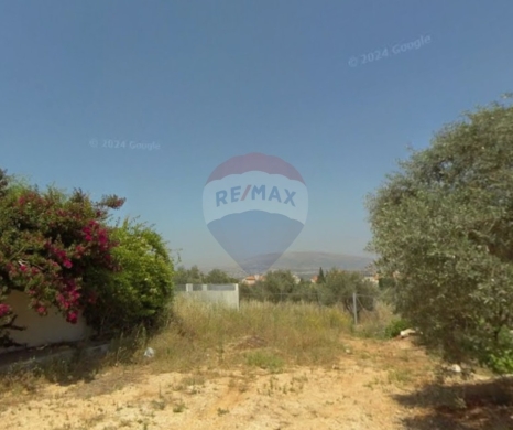 R9-3222 Land for Sale in Nakhleh – Koura أرض للبيع في نخلة الكورة (6200 m², Zoning 20/40)