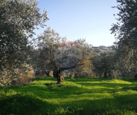 R9-3253 Land for Sale in Btaaboura Koura – 27,300 m²أرض للبيع في بتعبورة الكورة – 27,300 متر مربع
