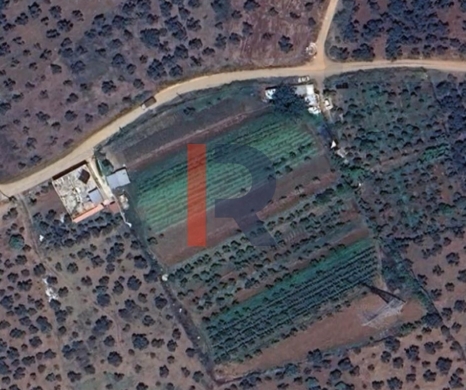 R9-3257 Land for Sale in Rachiine Zgharta – 2,929 m², Residential
