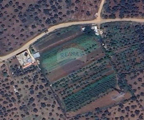 R9-3257 Land for Sale in Rachiine Zgharta – 2,929 m², Residential أرض للبيع في راشعين زغرتا – 2,929 متر مربع، سكني