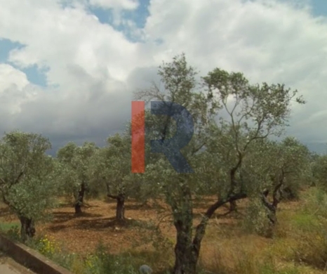 R9-3274 Land for Sale in Btouratij Koura – 3,059 m