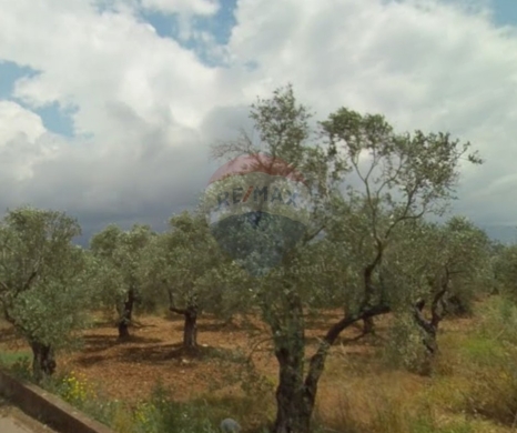 R9-3274 Land for Sale in Btouratij Koura – 3,059 m أرض للبيع في بتوراتيج الكورة – 3,059 متر مربع