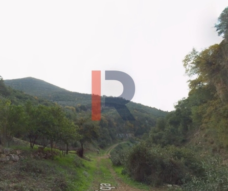 R9-3300 Land for Sale in Majdal Akkar – 136,000 m²