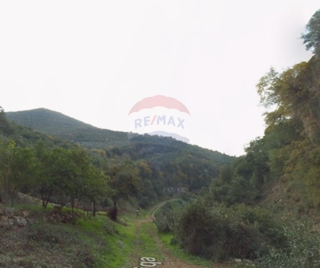 R9-3300 Land for Sale in Majdal Akkar – 136,000 m²أرض للبيع في مجدل عكار – 136,000 متر مربع