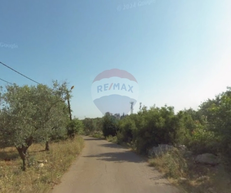 R9-3312 Land for Sale in Nakhleh Koura – 3600 m²أرض للبيع في نخلة الكورة – 3600 متر مربع