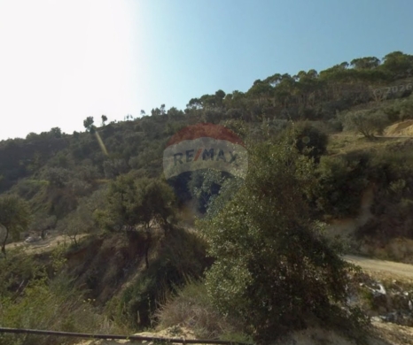 R9-3337 Land for Sale in Ardeh Mazraa Bchama أرض للبيع في أردة مزرعة بشمّا