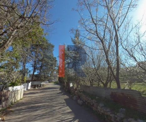 R9-3366 Land for Sale in Kfarchlan Danniyeh – 14,600 m²