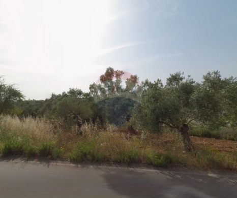 R9-3426 Land for Sale in Btourram Koura – 1,391 m²أرض للبيع في بطرام الكورة – 1,391 م²