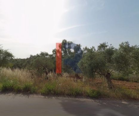 R9-3426 Land for Sale in Btourram Koura – 1,391 m²
