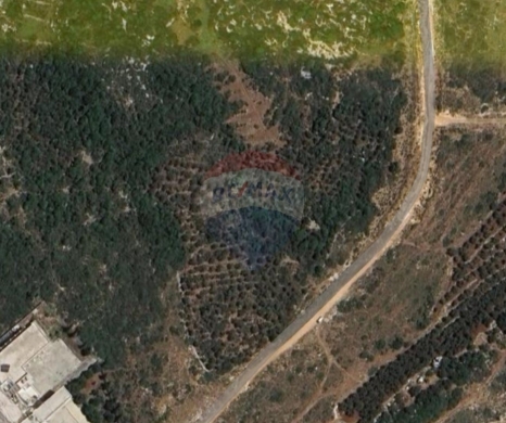 R9-3505 Land for Sale in Qalamoun, Tripoli – 1038 m², Zoning 35/1.05أرض للبيع في القلمون طرابلس – 1038 م²، تصنيف 35/1.05