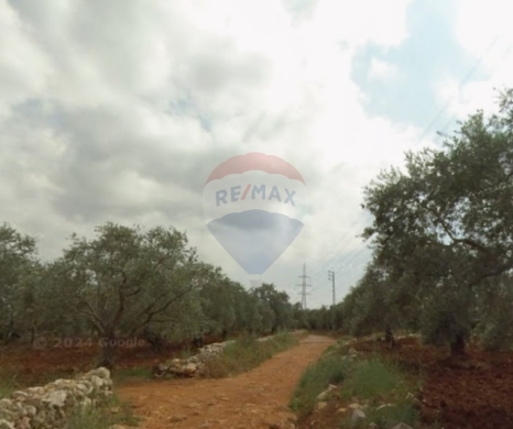 R9-3513 Land for Sale in Al Bqaiaa – 1200 m²أرض للبيع في البقيعة – 1200 م²