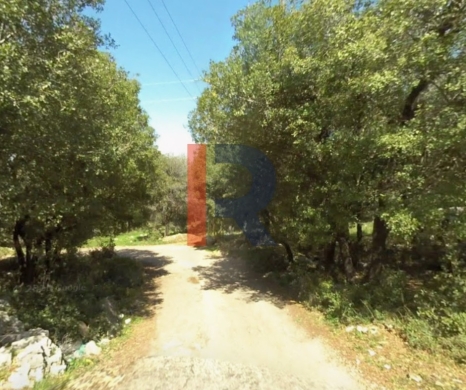 R9-3559 Land for Sale in Btermaz – Danniyeh, 1000 m², Planted with Fruits
