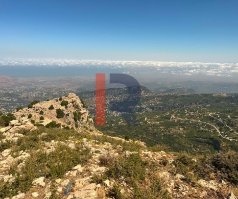 R9-3605 Land for Sale in Jerd El Njass – Danniyeh, 15,600 m², Zoning 20/40