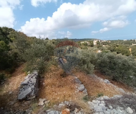R9-3613 Land for Sale in Chabtine – Batroun, 950 m², Zoning 25/50أرض للبيع في شبطين البترون – 950 م²، تصنيف 25/50