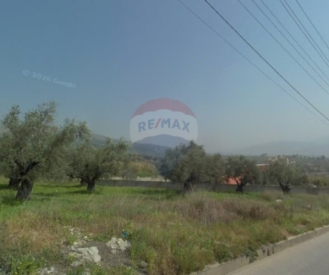 R9-3616 Land for Sale in Alma – Wadi Al Rayhan, 3669 m², Agriculturalأرض للبيع في علما وادي الريحان – 3669 م²، زراعية