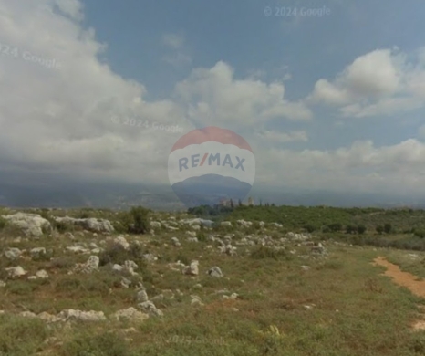 R9-3649Land for Sale in Nakhleh – Koura, 1518 m² Residential, Zoning 20/40 أرض للبيع في نخلة الكورة – 1518 م² سكنية، تصنيف 20/40