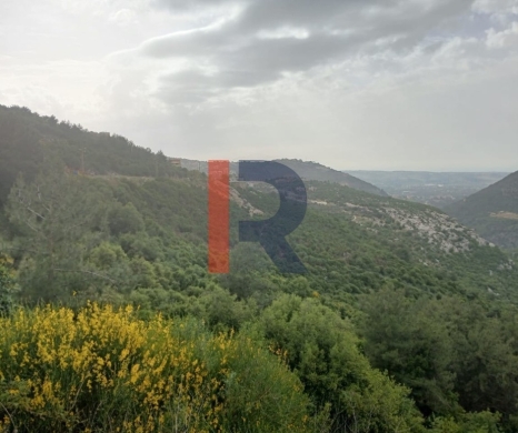 R9-3651 Land for Sale in Kosba – Koura, 1157 m² Residential, Zoning 25/50, Main Street Frontage