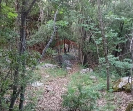 R9-3720 Land for Sale in Kahmez – Jbeil, 12,500 m², Pine Treesأرض للبيع في كحمز جبيل – 12,500 م²، مزروعة بالصنوبر