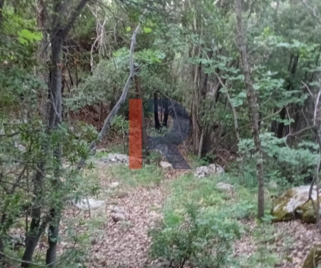 R9-3720 Land for Sale in Kahmez – Jbeil, 12,500 m², Pine Trees