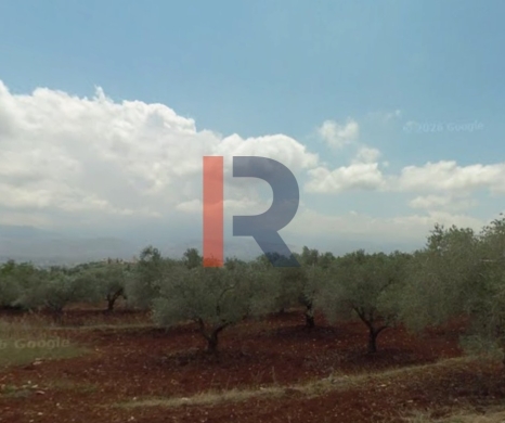R9-3729 Land for Sale in Nakhleh – Koura, 1778 m², Zoning 20/40