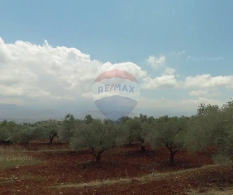 R9-3729 Land for Sale in Nakhleh – Koura, 1778 m², Zoning 20/40أرض للبيع في نخلة الكورة – 1778 م²، تصنيف 20/40