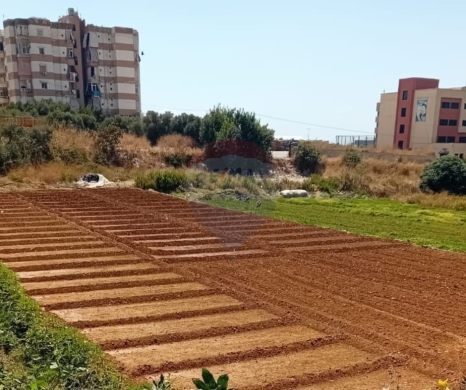 Lands for rent in Choueifat - R9-3725 Two Connected Lands for Rent in Shouaifat &ndash; Mount Lebanon, 5764 m&sup2;قطعتان أرض للايجار في الشويفات جبل لبنان &ndash; 5764 م&sup2;