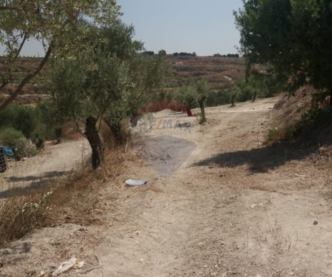 R9-3764 Land for Sale in Aabra – Saida, 2,365 m², Zoning 15% أرض للبيع في عبرا صيدا – 2,365 م²، تصنيف %15