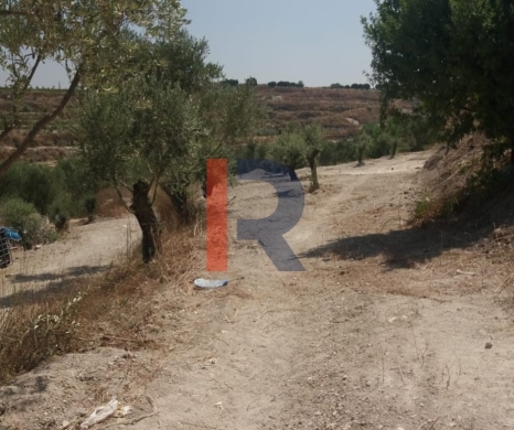 R9-3764 Land for Sale in Aabra – Saida, 2,365 m², Zoning 15%
