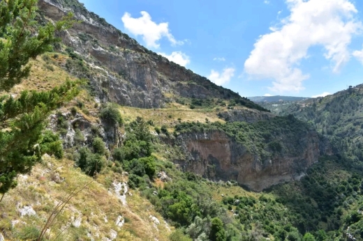 Lands for sale dans Karm Saddeh - Development Land for Sale in Karm Saddeh -Zgharta