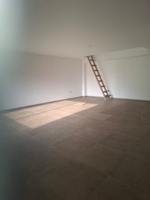 Commercials for rent in Sarba - Prime Commercial Space Shop For Sale or Rent in Sarba