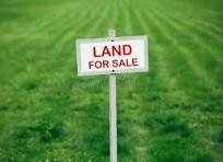 Lands for sale dans Assia - Land for in Assia - Batroun