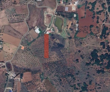 R9-3847 Agricultural Land for Sale in Amioun – Koura, with Olive Trees