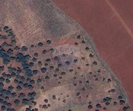 R9-3881 Land for Sale in Bterram – Koura, 7,256 m², Zoning 30/60 أرض للبيع في بطرام – الكورة، 7,256 م²، تنظيم 30/60