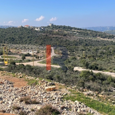 R9-1169 Land For Sale in Dar Ba'ashtar - Koura